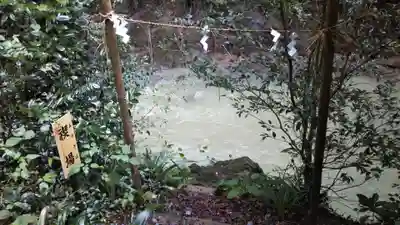龍神社のその他建物