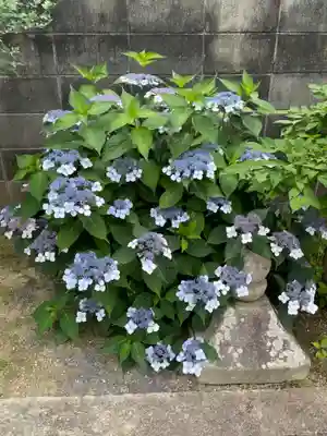 称念寺(奈良県)
