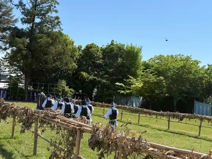 賀茂別雷神社(上賀茂神社)の{uncategorized: "未分類", other: "その他", undefined: "問題あり", building: "その他建物", grave: "お墓", sacred_gate: "鳥居", guardian: "狛犬", statue: "像", buddha: "仏像", history: "歴史", nature: "自然", garden: "庭園", animal: "動物", pagoda: "塔", temizu: "手水舎", mountain_gate: "山門・神門", sanctuary: "本殿・本堂", subordinate: "末社・摂社", art: "芸術", scenery: "景色", jizo: "地蔵", ema: "絵馬", goshuin: "御朱印", omikuji: "おみくじ", items: "授与品その他", amulet: "お守り", goshuincho: "御朱印帳", eats: "食事", festival: "お祭り", votive_dance: "神楽", shichigosan: "七五三参", wedding: "結婚式", experience: "体験その他", initially: "初詣", around: "周辺", anti_infection: "感染症対策"}