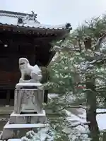 赤嵜神社の狛犬