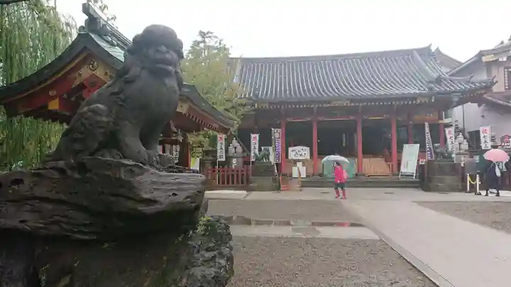 浅草神社の狛犬