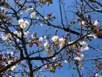 六所皇大神宮霊跡の自然