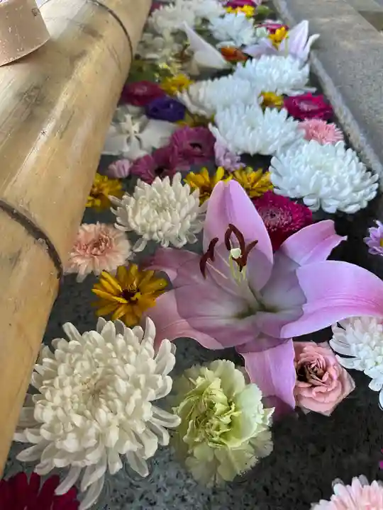 群馬県護国神社(群馬県)