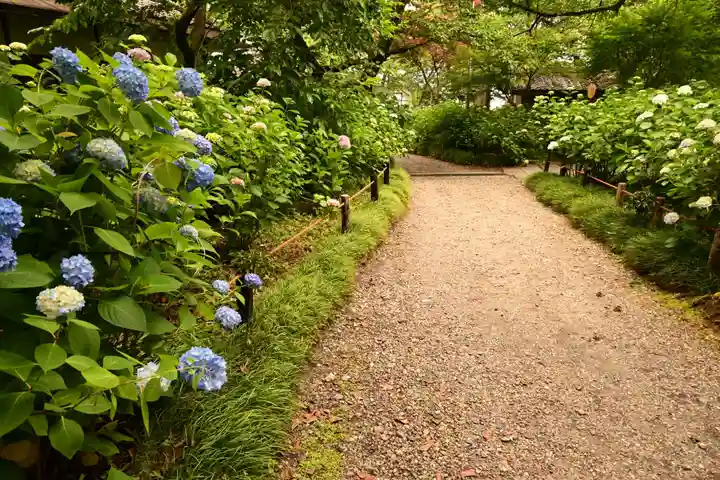 矢田寺(奈良県)