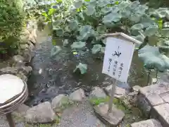 園城寺（三井寺）(滋賀県)