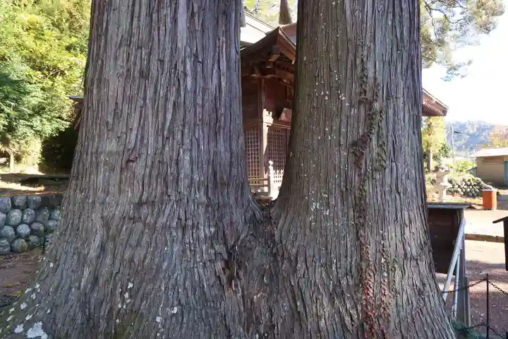 日枝神社(静岡県)