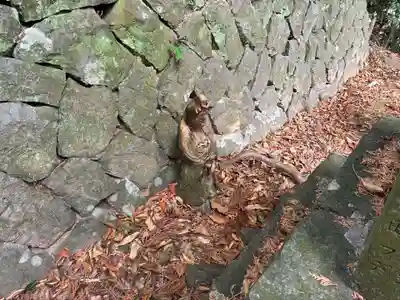 室姫神社(徳島県)