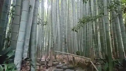 報国寺(神奈川県)