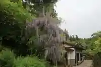 古峯神社の庭園