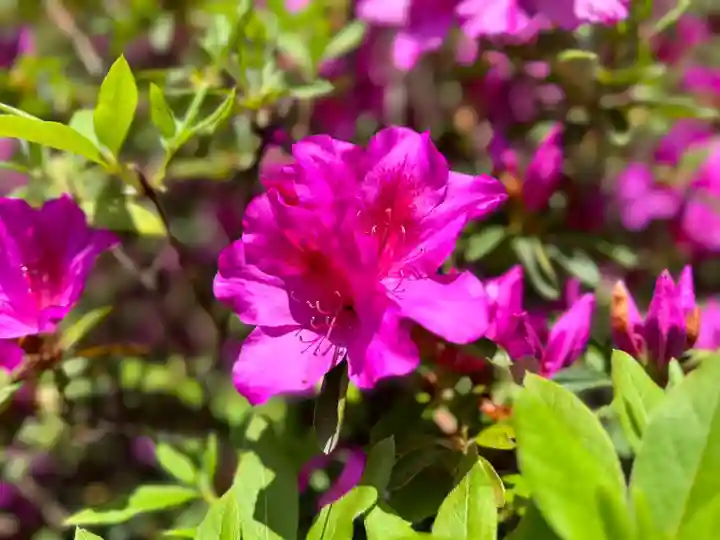 伊勢の国 四天王寺(三重県)