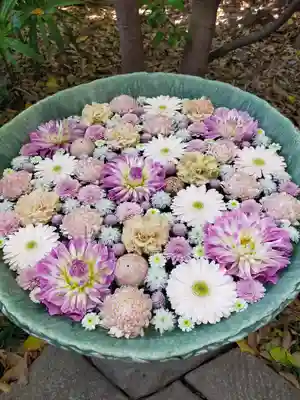 行田八幡神社の手水舎