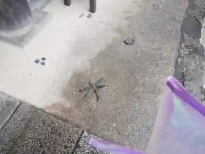 一宮寺(香川県)