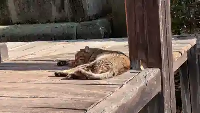 久米寺(奈良県)