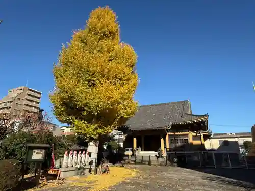 福王山  慈眼寺(東京都)