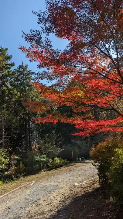 神藏寺(京都府)