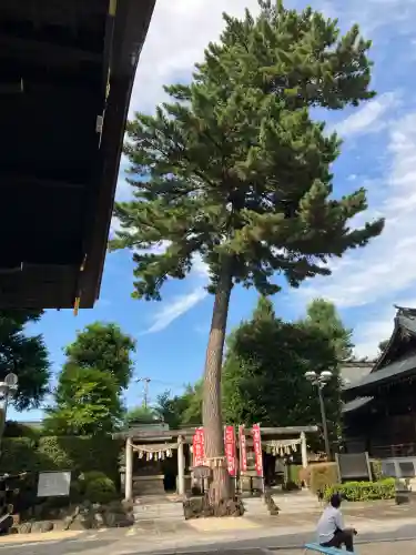 中野沼袋氷川神社(東京都)