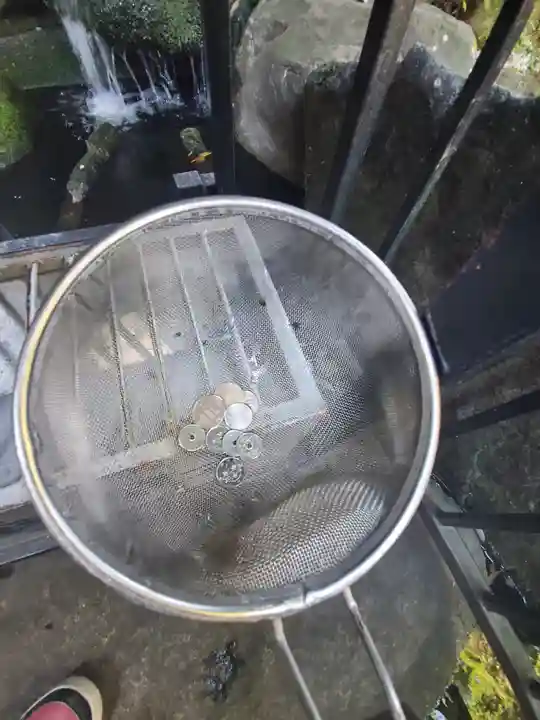 白蛇辨財天の体験その他