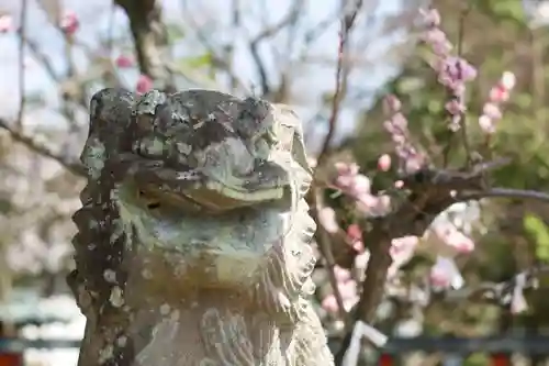 天神社の狛犬