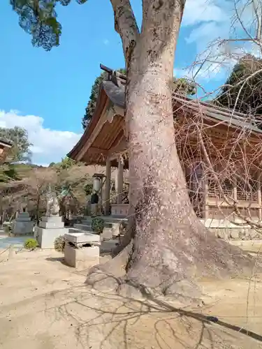 宝満宮竈門神社(福岡県)