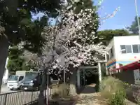 神明神社 (飯山満町)のその他建物
