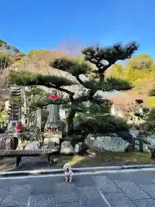 伊勢の国 四天王寺の庭園(2021年01月26日(火) 06時53分29秒投稿)