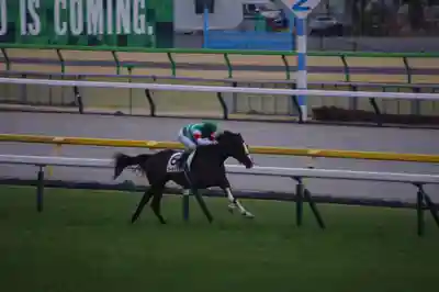 東京競馬場馬頭観音(東京都)