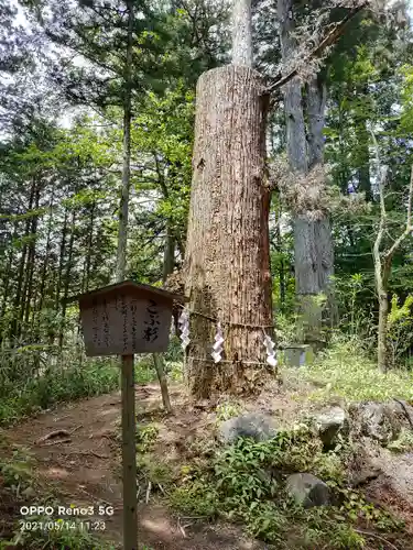 本宮神社（日光二荒山神社別宮）の体験その他