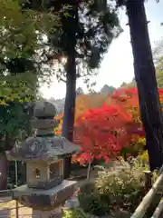 随願寺の自然