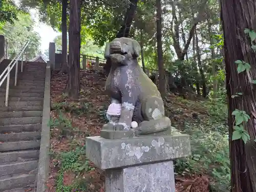 氷川神社の狛犬