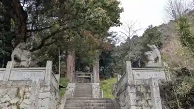 白山神社の狛犬