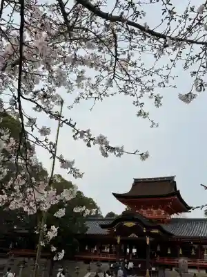 石清水八幡宮の{uncategorized: "未分類", other: "その他", undefined: "問題あり", building: "その他建物", grave: "お墓", sacred_gate: "鳥居", guardian: "狛犬", statue: "像", buddha: "仏像", history: "歴史", nature: "自然", garden: "庭園", animal: "動物", pagoda: "塔", temizu: "手水舎", mountain_gate: "山門・神門", sanctuary: "本殿・本堂", subordinate: "末社・摂社", art: "芸術", scenery: "景色", jizo: "地蔵", ema: "絵馬", goshuin: "御朱印", omikuji: "おみくじ", items: "授与品その他", amulet: "お守り", goshuincho: "御朱印帳", eats: "食事", festival: "お祭り", votive_dance: "神楽", shichigosan: "七五三参", wedding: "結婚式", experience: "体験その他", initially: "初詣", around: "周辺", anti_infection: "感染症対策"}