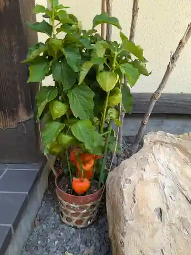 西野神社(北海道)
