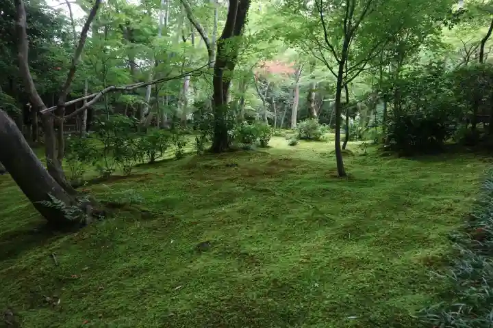 祇王寺(京都府)