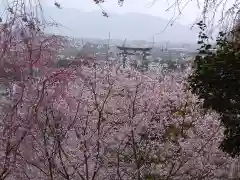 大神神社の自然