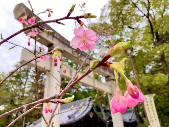 愛知県高浜市春日神社(愛知県)