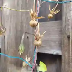 七重浜海津見神社(北海道)