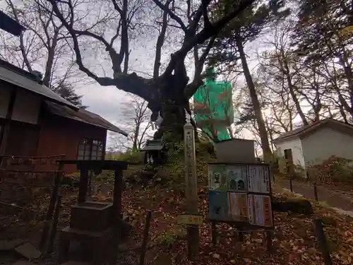 碓氷峠熊野神社の像