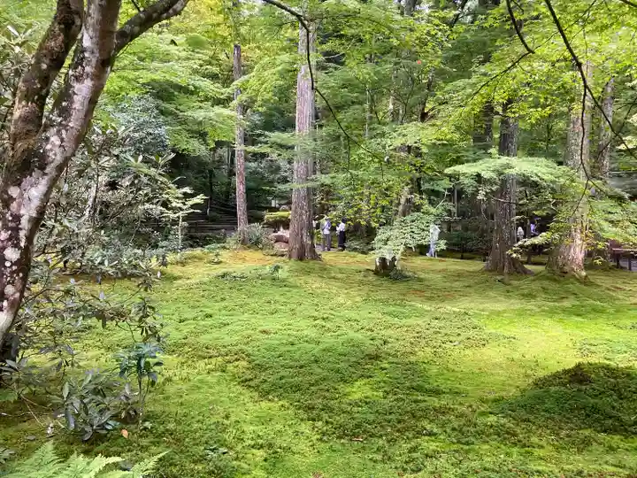三千院門跡(京都府)