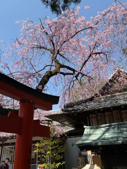 水火天満宮の{uncategorized: "未分類", other: "その他", undefined: "問題あり", building: "その他建物", grave: "お墓", sacred_gate: "鳥居", guardian: "狛犬", statue: "像", buddha: "仏像", history: "歴史", nature: "自然", garden: "庭園", animal: "動物", pagoda: "塔", temizu: "手水舎", mountain_gate: "山門・神門", sanctuary: "本殿・本堂", subordinate: "末社・摂社", art: "芸術", scenery: "景色", jizo: "地蔵", ema: "絵馬", goshuin: "御朱印", omikuji: "おみくじ", items: "授与品その他", amulet: "お守り", goshuincho: "御朱印帳", eats: "食事", festival: "お祭り", votive_dance: "神楽", shichigosan: "七五三参", wedding: "結婚式", experience: "体験その他", initially: "初詣", around: "周辺", anti_infection: "感染症対策"}