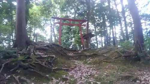 小丸山稲荷神社の鳥居