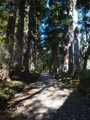 戸隠神社奥社(長野県)