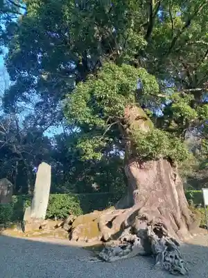 粉河寺(和歌山県)