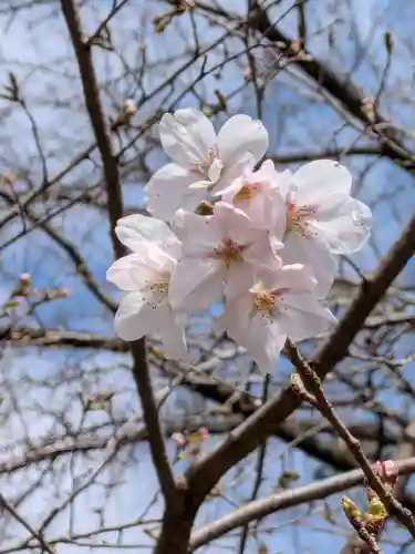赤坂氷川神社(東京都)