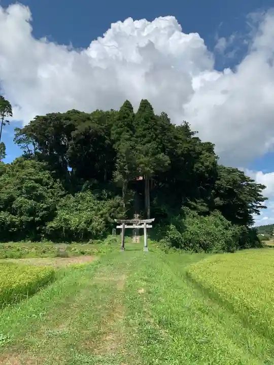 大宮神社(千葉県)