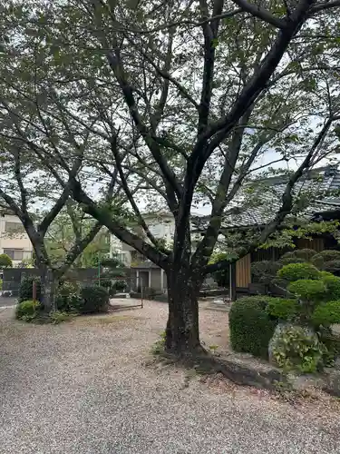 東日寺(三重県)