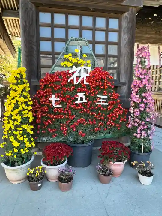 大洗磯前神社(茨城県)