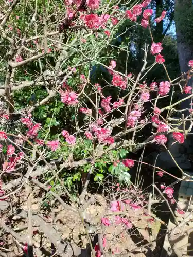 姉埼神社の自然