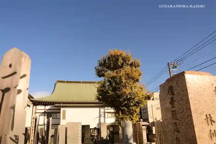 東漸寺の建物その他