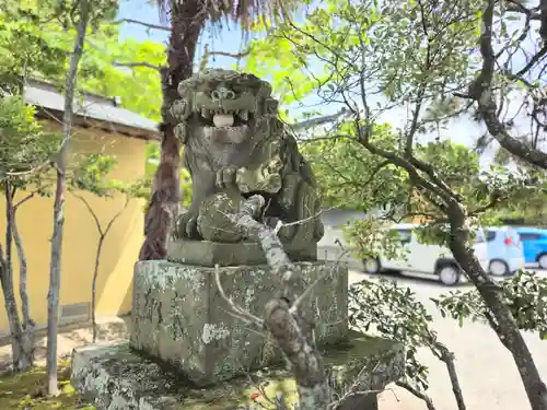 小名浜諏訪神社 ～海の鎮守様～の狛犬