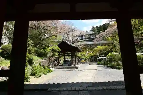 岡寺（龍蓋寺）(奈良県)